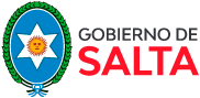 gobierno de salta